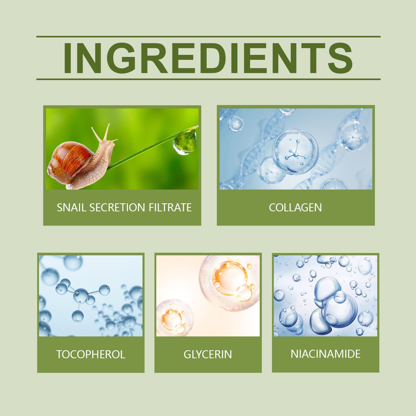 Green Tea Moisturizing Face Cream Gloss Oil Control Clean Balance Skin Moisturizing Moisturizing Skincare Set